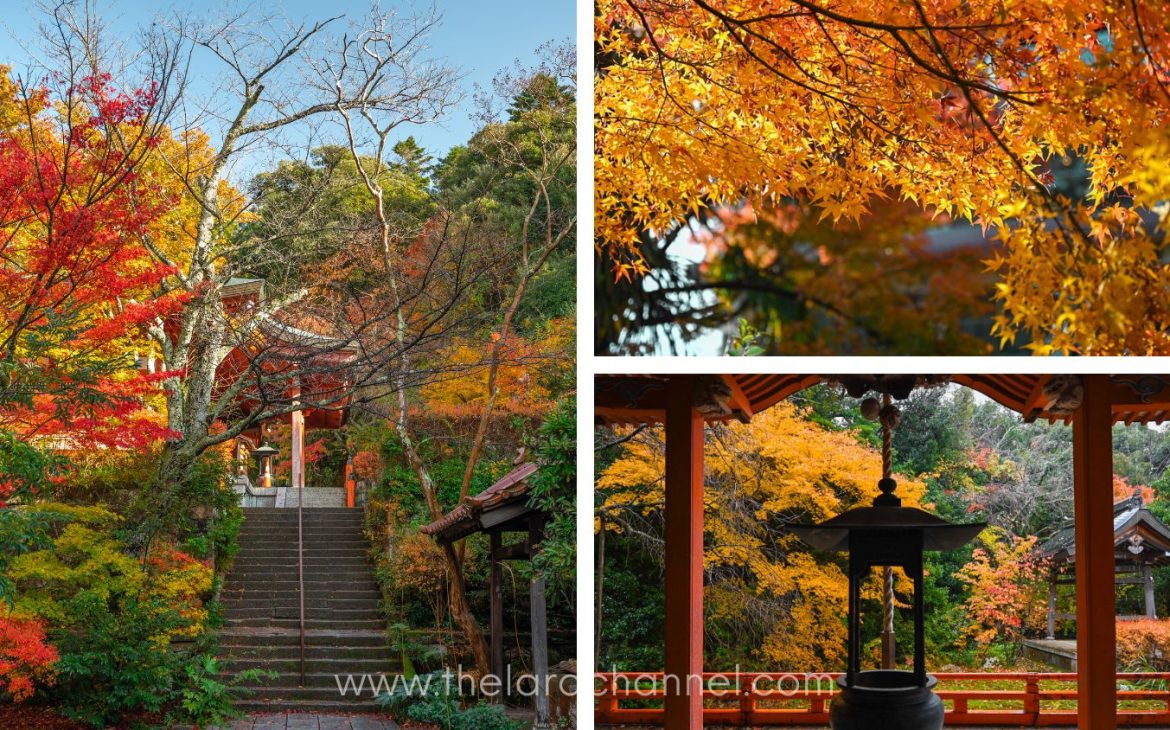 Yakuoin-Onsenji-Temple